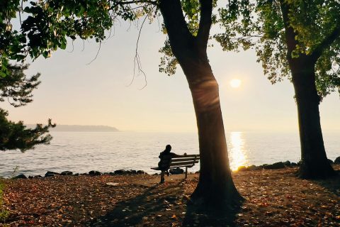Bay Trail, Seattle
