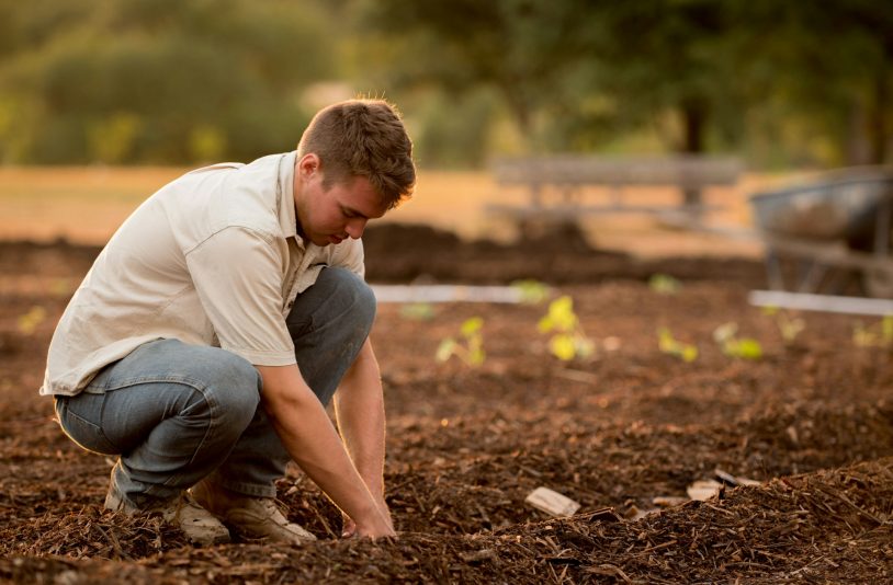 Farmer