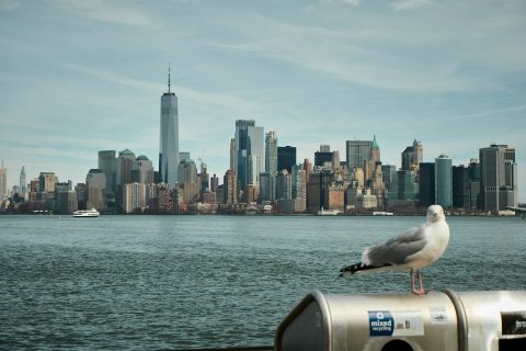 Liberty Island, New York