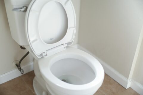 toilet bowl
