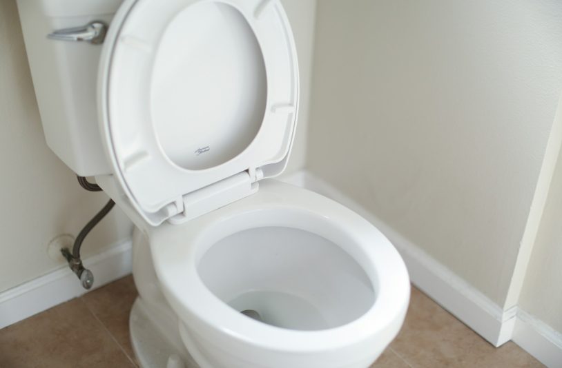 toilet bowl