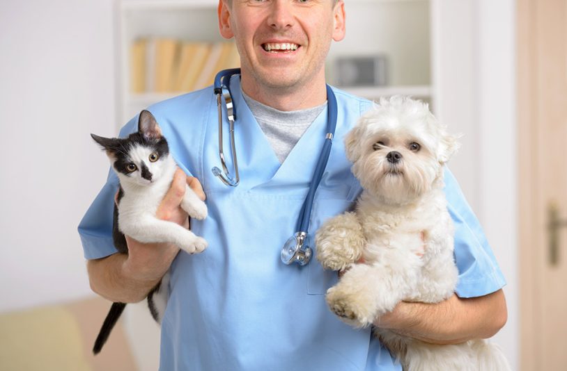 veterinarian